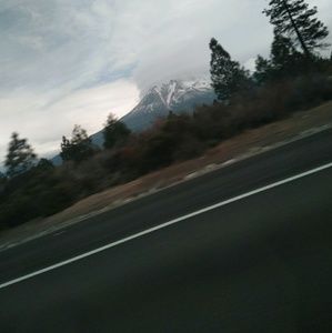 Meet your Posher, Rosario